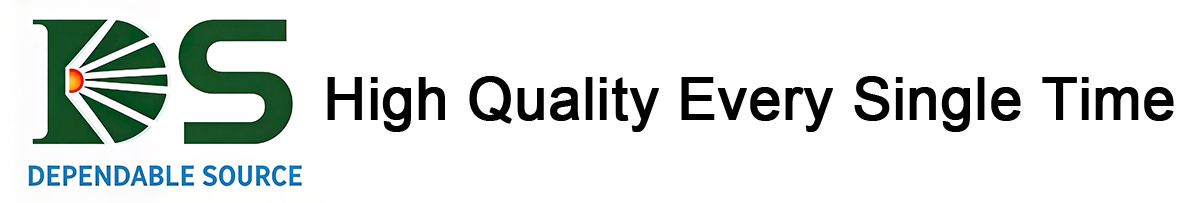 DS Industria (Shenzhen) Co., Ltd.